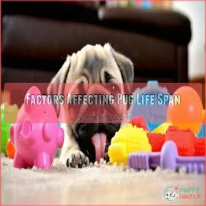 Factors Affecting Pug Life Span