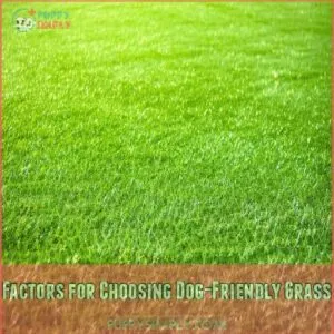 Factors for Choosing Dog-Friendly Grass