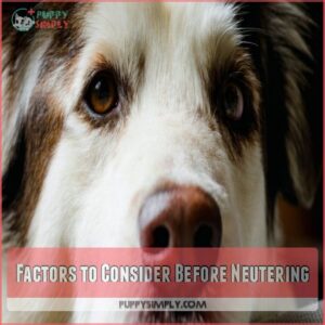 Factors to Consider Before Neutering