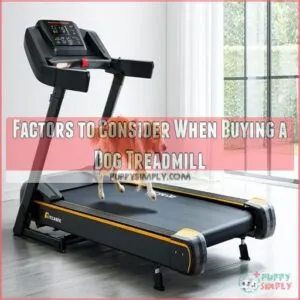 Factors to Consider When Buying a Dog Treadmill