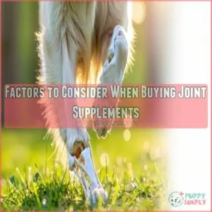 Factors to Consider When Buying Joint Supplements