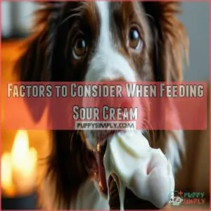 Factors to Consider When Feeding Sour Cream