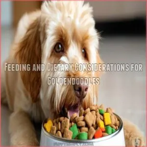 Feeding and Dietary Considerations for Goldendoodles