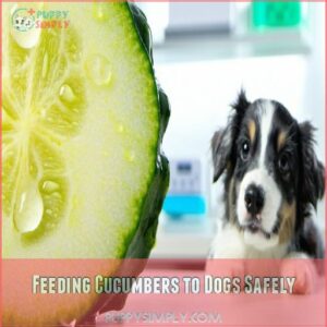 Feeding Cucumbers to Dogs Safely