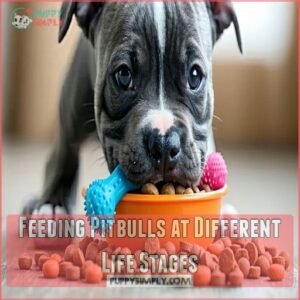 Feeding Pitbulls at Different Life Stages