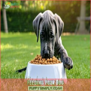 Feeding Your Dog