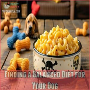 Finding a Balanced Diet for Your Dog