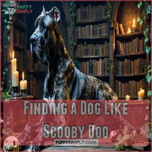 Finding a Dog Like Scooby Doo