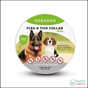 Flea and Tick Prevention for