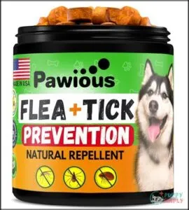 Flea and Tick Prevention for