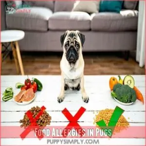 Food Allergies in Pugs