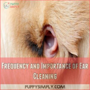 Frequency and Importance of Ear Cleaning