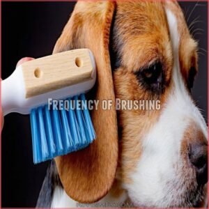 Frequency of Brushing