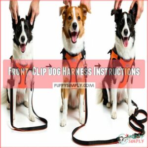 Front-Clip Dog Harness Instructions