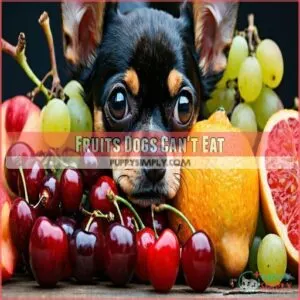 Fruits Dogs Can