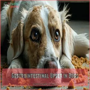 Gastrointestinal Upset in Dogs