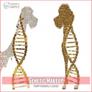 Genetic Makeup