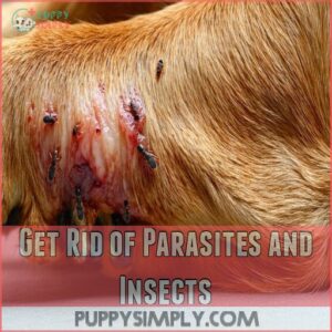 Get Rid of Parasites and Insects