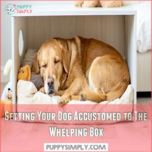 Getting Your Dog Accustomed to The Whelping Box