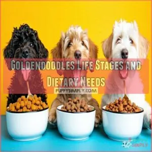 Goldendoodles Life Stages and Dietary Needs