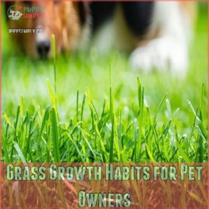 Grass Growth Habits for Pet Owners