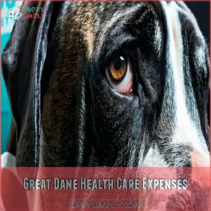 Great Dane Health Care Expenses