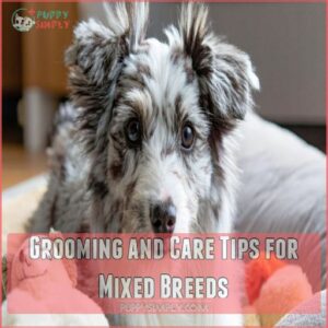 Grooming and Care Tips for Mixed Breeds