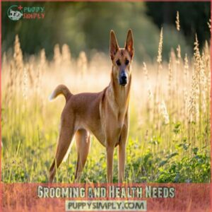 Grooming and Health Needs