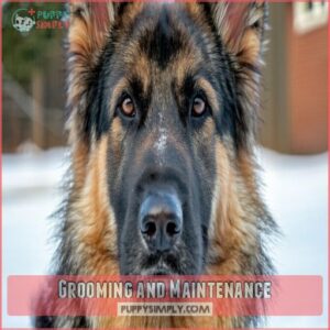 Grooming and Maintenance