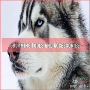 Grooming Tools and Accessories