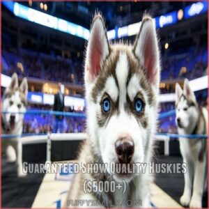 Guaranteed Show Quality Huskies (00+)