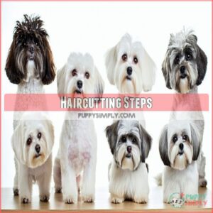 Haircutting Steps