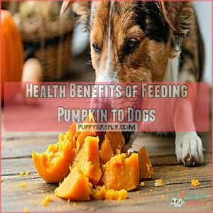 Health Benefits of Feeding Pumpkin to Dogs