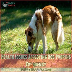 Health Issues Affecting Dog Pooping Frequency