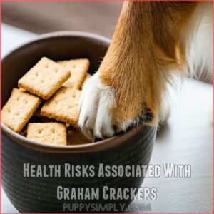 Health Risks Associated With Graham Crackers