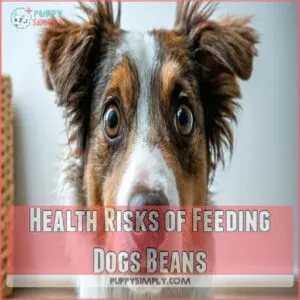 Health Risks of Feeding Dogs Beans