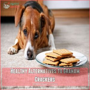 Healthy Alternatives to Graham Crackers