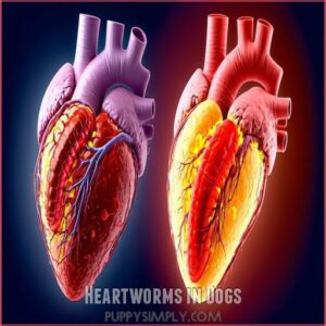 Heartworms in Dogs