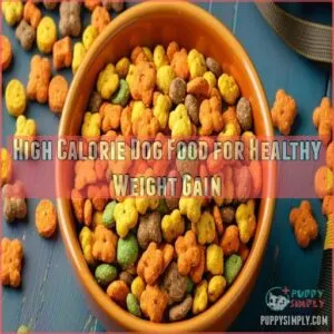 High Calorie Dog Food for Healthy Weight Gain