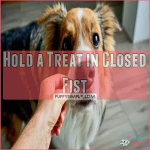 Hold a Treat in Closed Fist