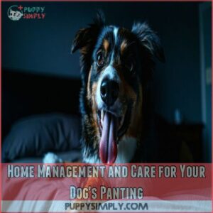 Home Management and Care for Your Dog