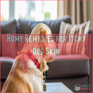 Home Remedies for Itchy Dog Skin