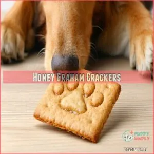 Honey Graham Crackers