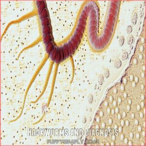 Hookworms and Diagnosis