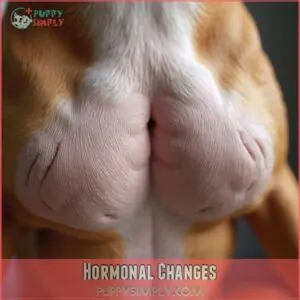 Hormonal Changes