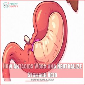 How Antacids Work and Neutralize Stomach Acid