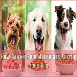 How Canine Food Allergies Affect Your Dog