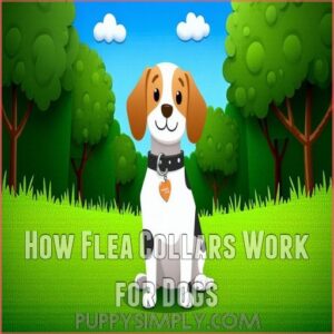 How Flea Collars Work for Dogs