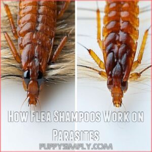 How Flea Shampoos Work on Parasites