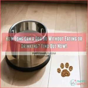 how long can a dog go without eating or drinking